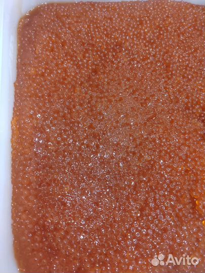 Красная икра 2023