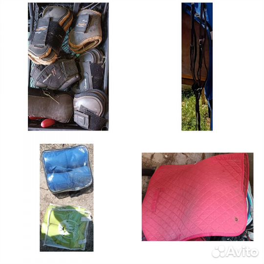 Конная амуниция бу