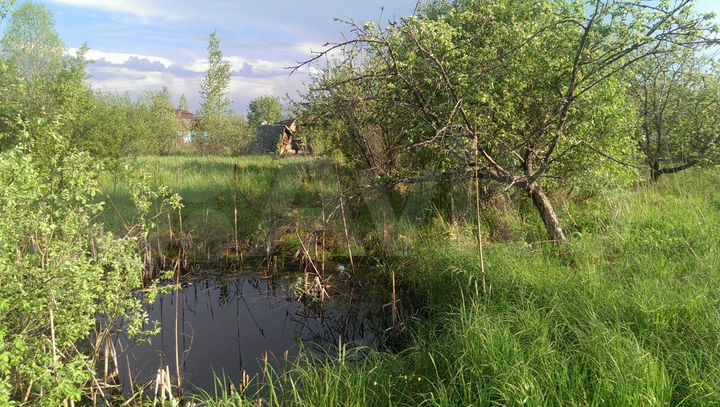 Участок 5 сот. (СНТ, ДНП)
