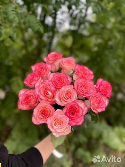 Цветы розы букет