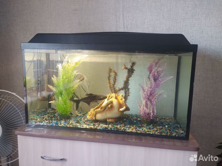 Аквариум