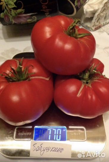 Семена коллекционных томатов