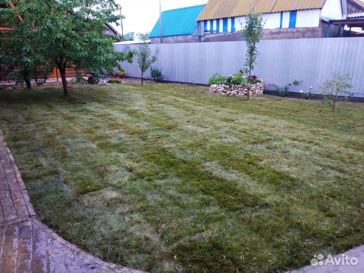 Автополив, монтаж автополива, установка автополива