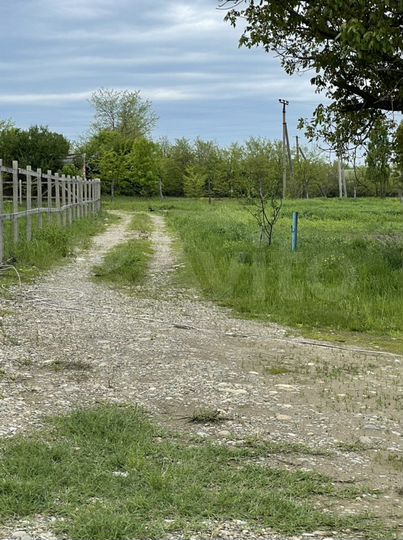 Участок 85 сот. (СНТ, ДНП)