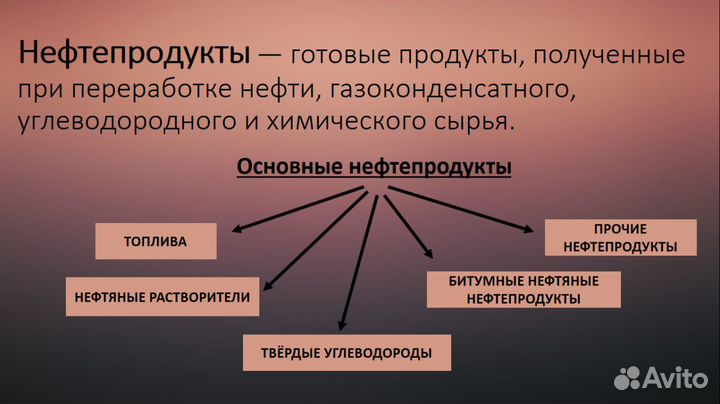 Школьные проекты (1-11класс) на заказ