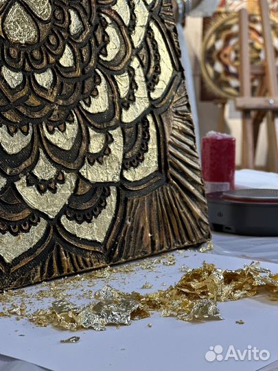 Мобильный видеограф, фотограф