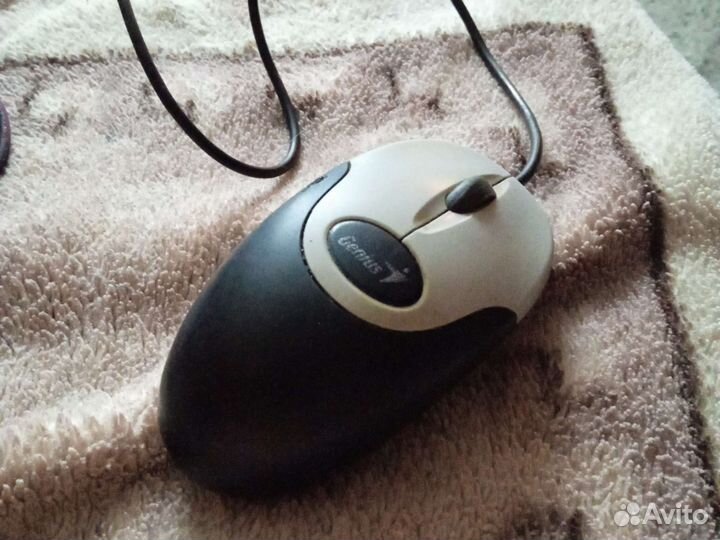 Компьютерная мышь