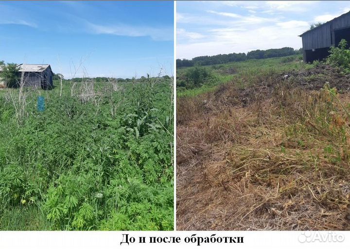 Средство борьбы с борщевиком Торнадо 540