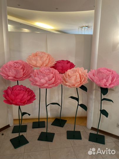Ростовые цветы