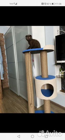 Домик с когтеточкой для кошек