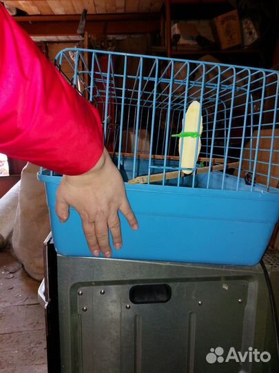 Клетка большая для грызунов