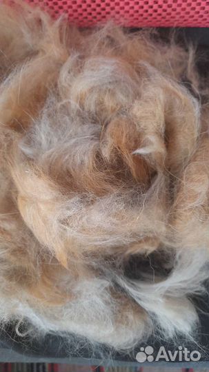 Собачья шерсть пряжа