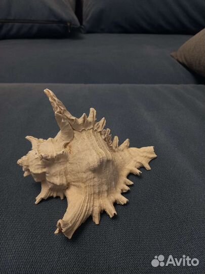 Аквариумный грот