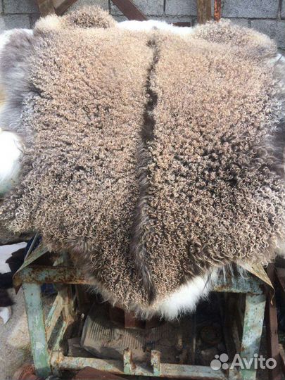Шкуры овечьи козий Шкура