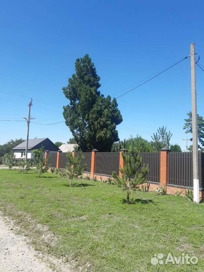 Спил деревьев,любой сложности