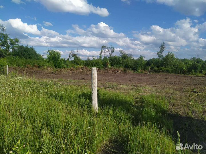 Овцы, земельный участок меняю на овцы