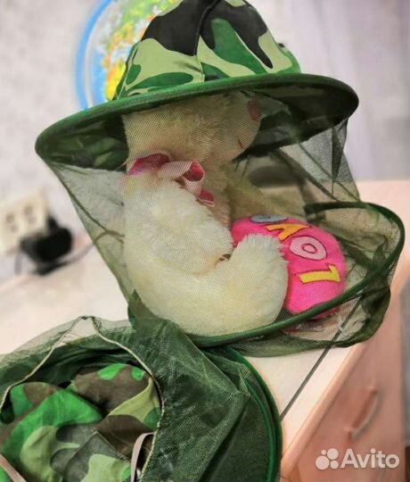 Пара антимоскитных шляп