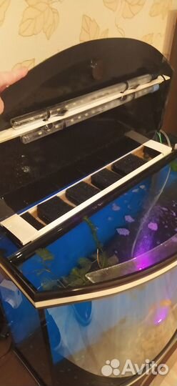 Аквариум панорамный для рыбок б/у 90 литров