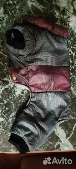 Продам комбинезон для собаки