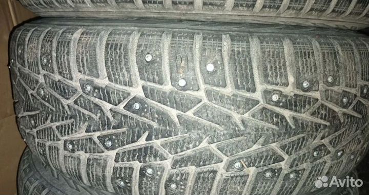 Nokian Tyres Hakkapeliitta 5 195/65 R15