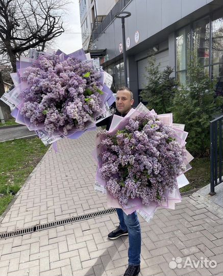 Сирень Цветы Букеты Пионы с доставкой 24/7