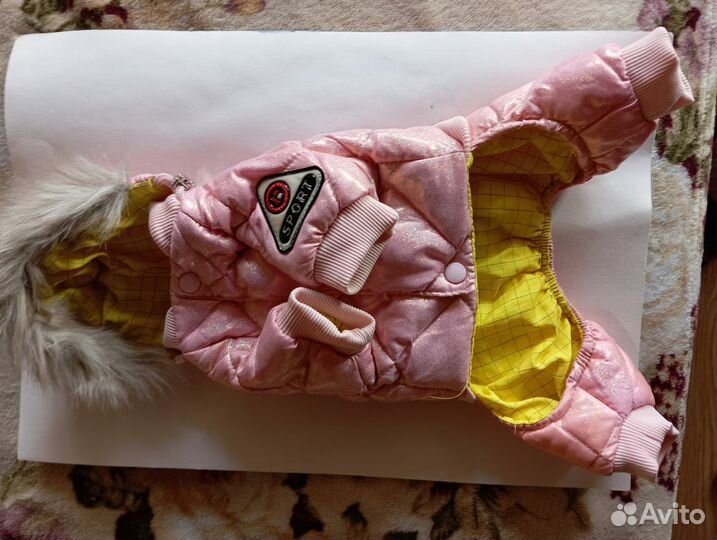 Одежда для маленьких собак