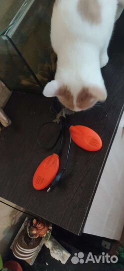 Сушилка для обуви фотоаппарат