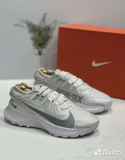 Кроссовки Nike Pegasus Trail 2