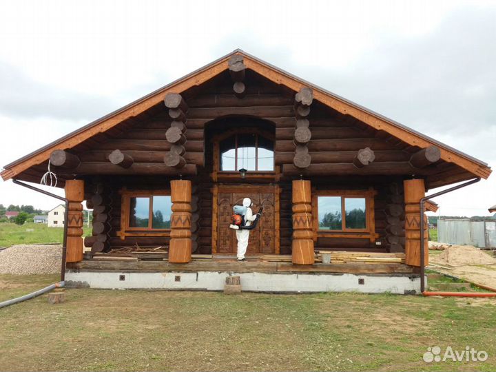 Обработка от короеда