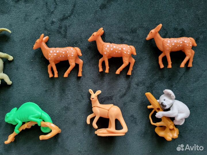 Киндер natoons