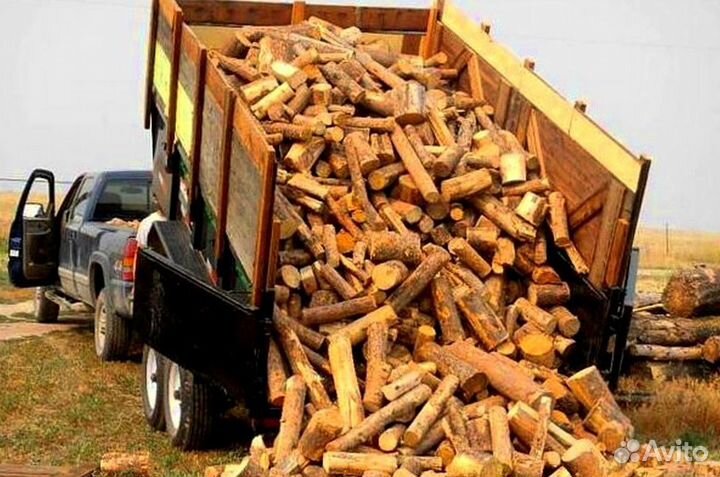 Дрова без гнили