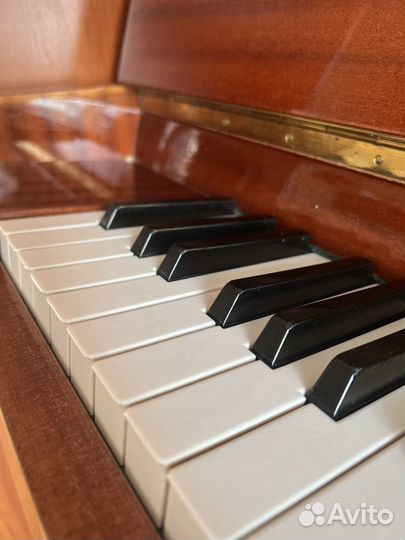 Фортепиано Alexander Herrmann