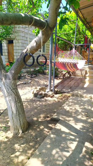 Комната 18 м², 1/2 эт.