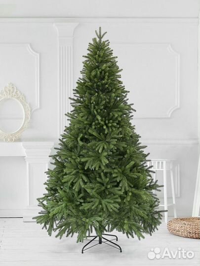 Ель Звездочка