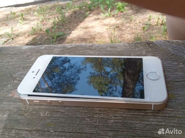 Дисплей iPhone 5s