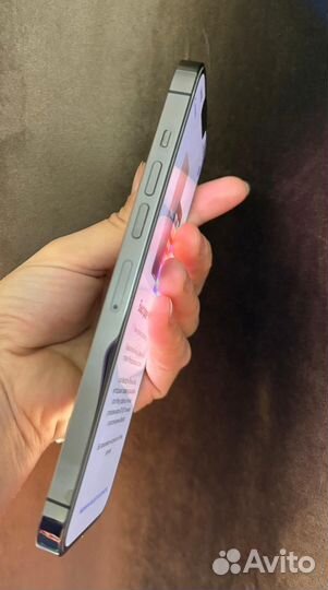 iPhone 13 Pro Max, 1 ТБ