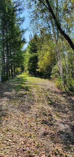 Участок 10 сот. (СНТ, ДНП)