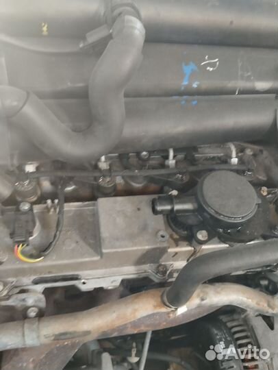 Двигатель Мерседес вито 638