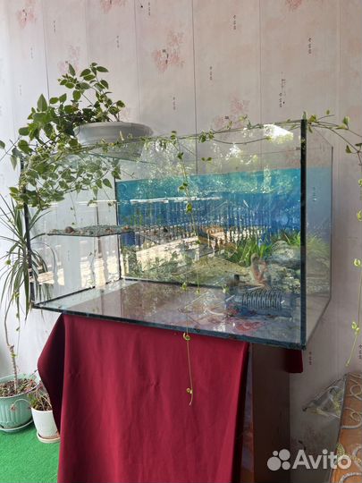 Продаю черепашник