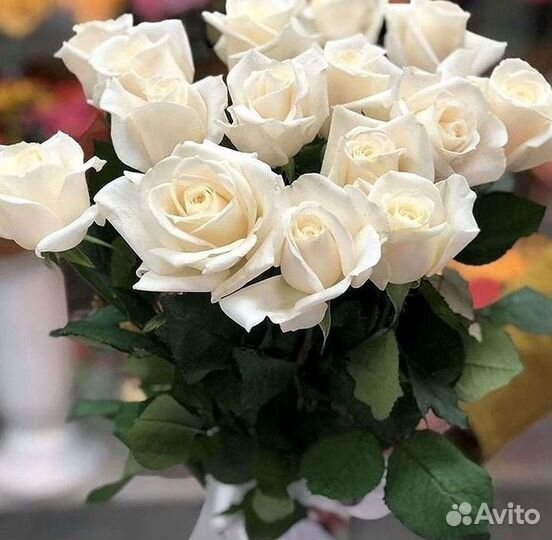 101 Роза Цветы Букеты 51 25 Роз Доставка