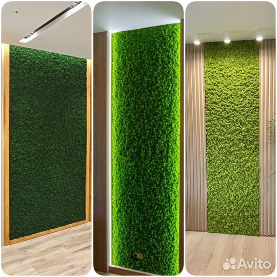 Стены, панно. Стабилизированный мох. Арт196