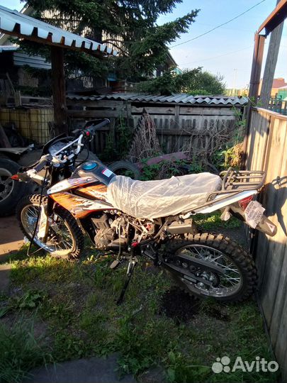 Рейсер пантера 300