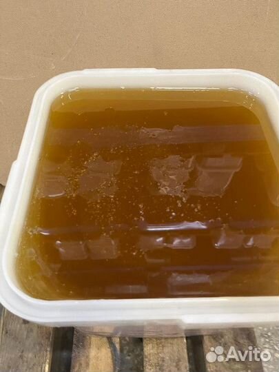 Мёд майский свежий оптом