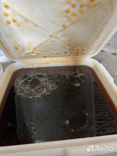 Мед гречишный 2023год со своей пасеки