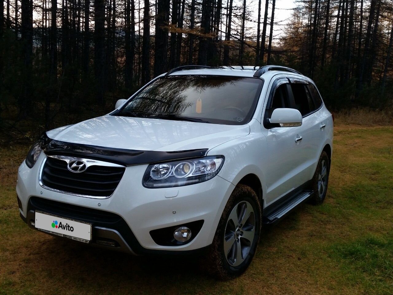 Hyundai Santa Fe: фото владельца