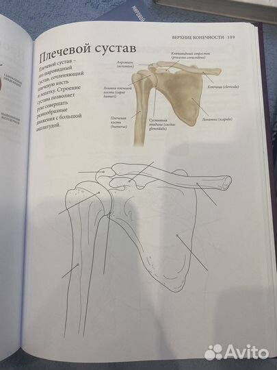 Атлас Анатомии человека Новый