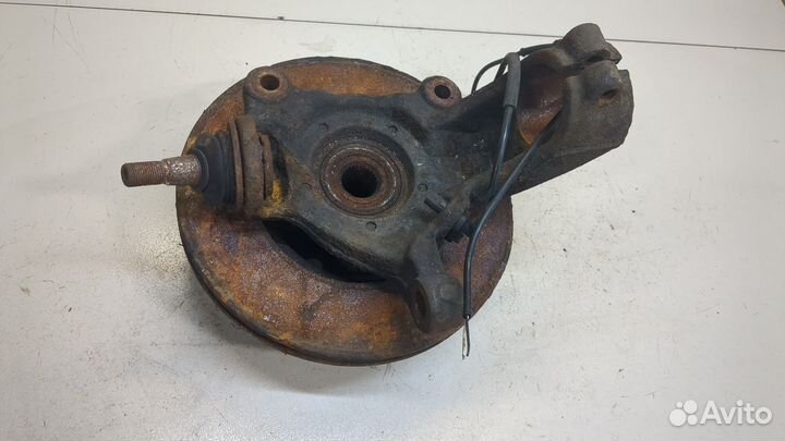 Ступица (кулак, цапфа) Ford Transit, 2010