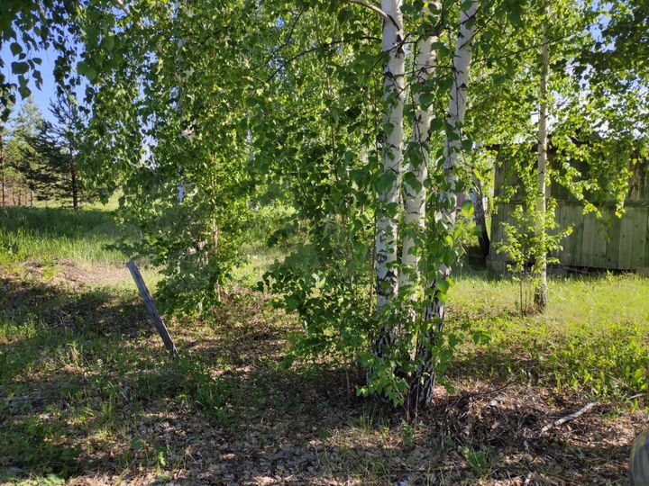 Участок 15 сот. (СНТ, ДНП)