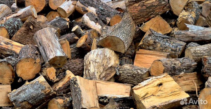 Дрова с Зеленогорска