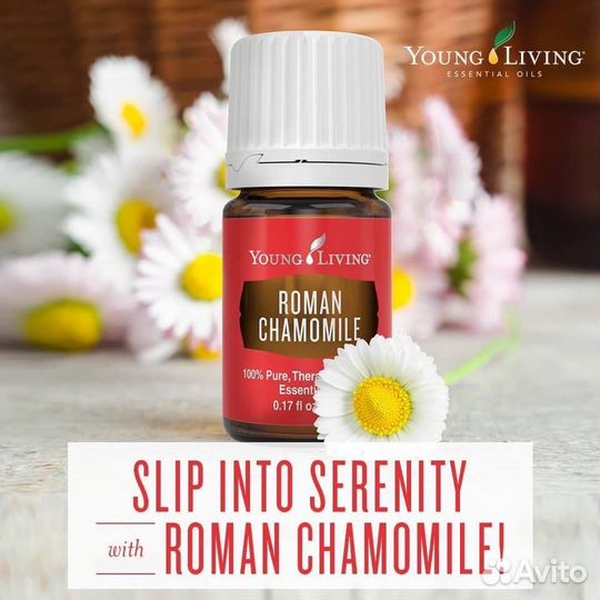 Римская ромашка - эфирное масло Янг Ливинг